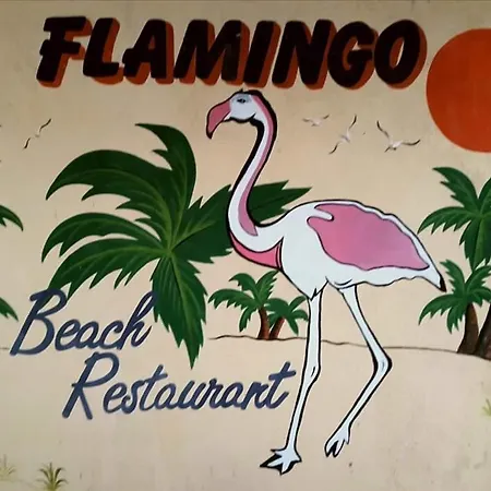 Cassa De Flamingo Protarász